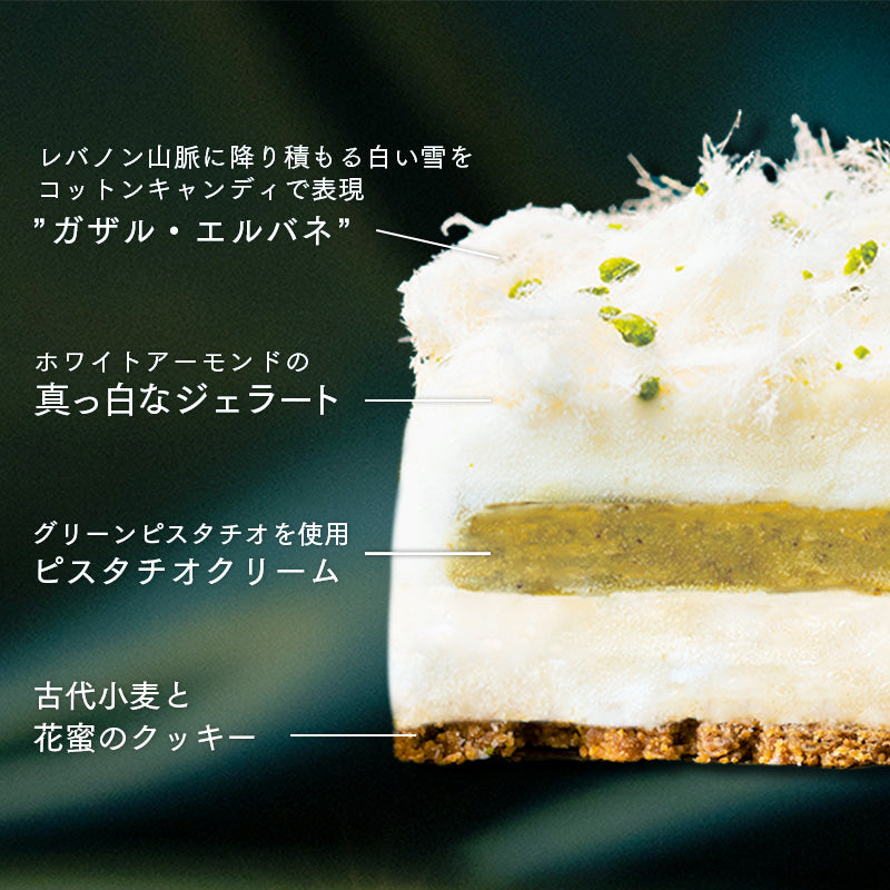 【数量限定】ガザル ベイルート＜送料込み＞